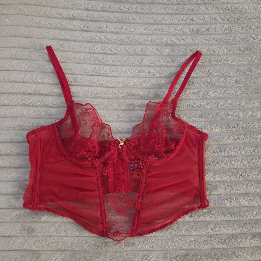 Adore Me Avara Red Lace Corset Bustier Bra Sheer Pleated Underwire 36B